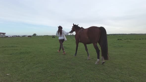 A young woman wearing brown hat leads a brown horse across the field