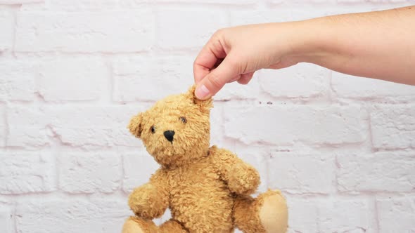 female hand holds the ear of a brown cute teddy bear