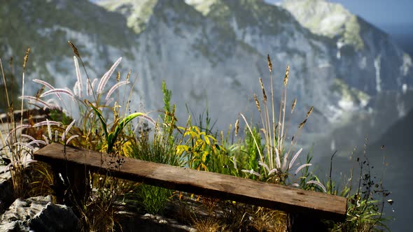 Fresh Grass at Big Rocky Cliff in Ocean