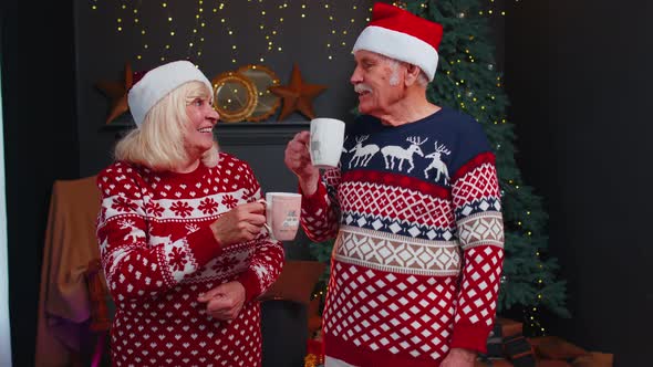 Senior Grandmother Grandmother Enjoying Pleasant Christmas Conversation Drinking Hot Tea at Home