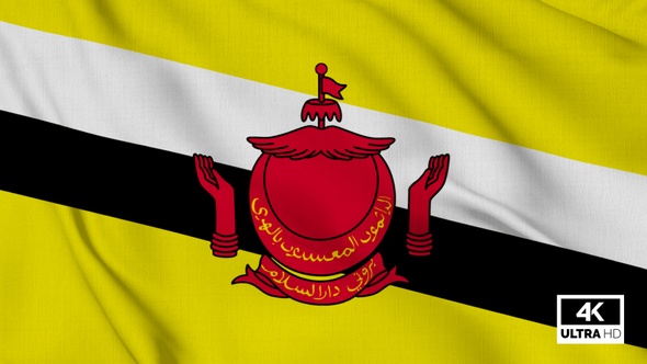 Brunei Flag Waving Slowly Looped