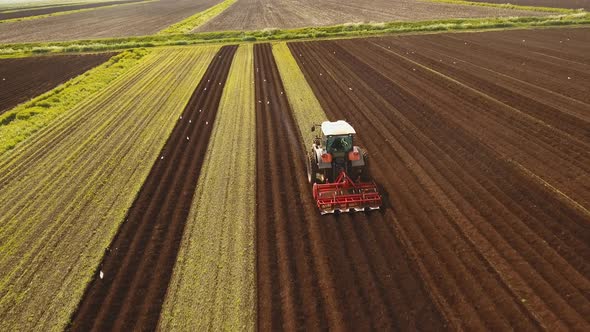 Tractor Cultivates the Land in the Field