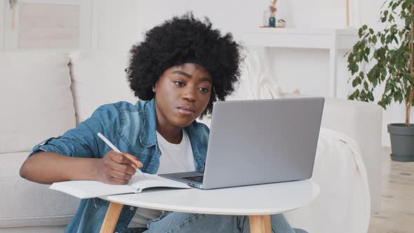 Focused African American Female Student Using Laptop for Study or Surfing Social Media Sit on Sofa