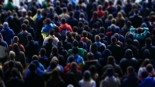 Soccer Fans Looking at Pitch, Worrying About Their Favorite Team, Sporting Event