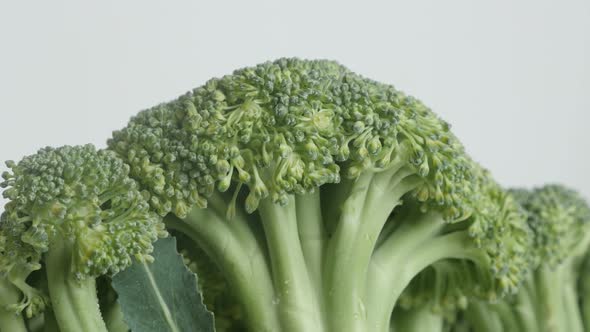 Organic Brassica oleracea  slow tilt 4K 2160p 30fps UltraHD footage - Green broccoli floret close-up