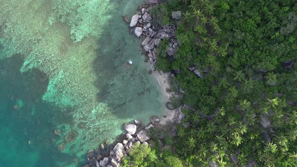 Beach Top View