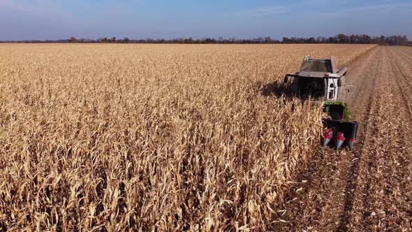 harvester harvests, follow, Ukraine