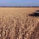 harvester harvests, follow, Ukraine - VideoHive Item for Sale