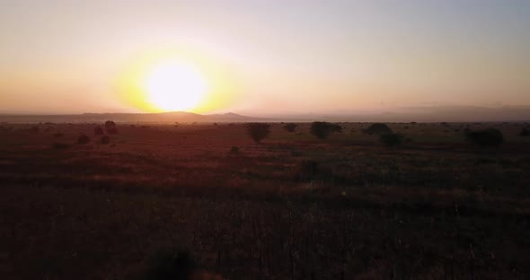 Sunrise over Tanzanian open savannah in Masai Mara, Kenya. 4K