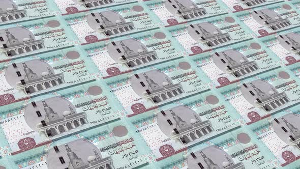 Egypt Money / 1 Egyptian Pound  4K