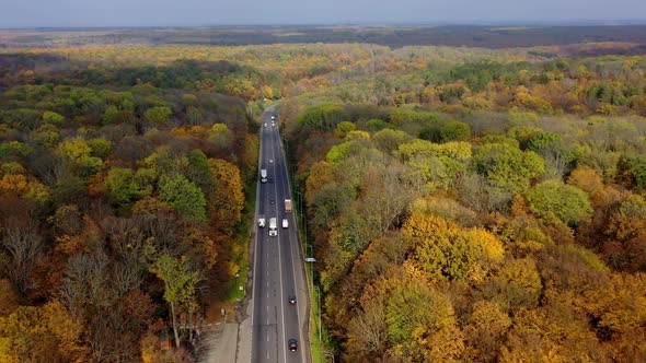 Road with cars in forest.