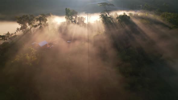 4K Aerial view of the misty sunrise in the forest. Tropical Rainforest in Thailand