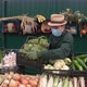 Broccoli at the Farmers' Market. Slow Motion 2x. - VideoHive Item for Sale