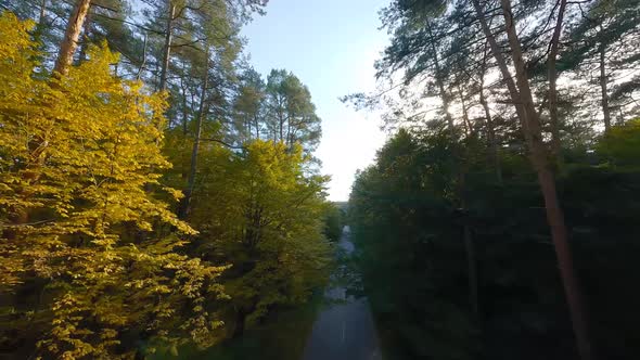 Smooth Flight Close to Branches of Trees Along the Road