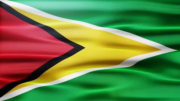 Guyana Flag Waving