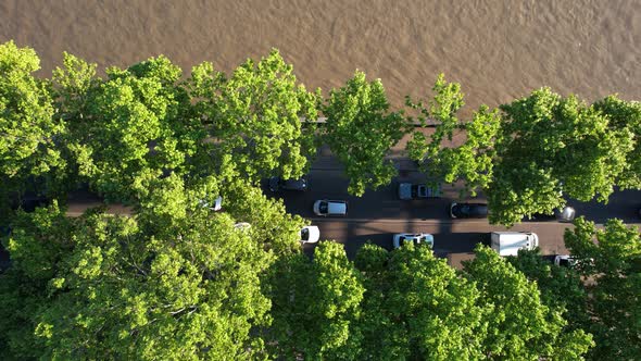 Riverside Traffic And Tree Alley