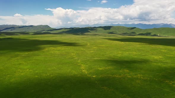 Nalati grassland with the blue sky