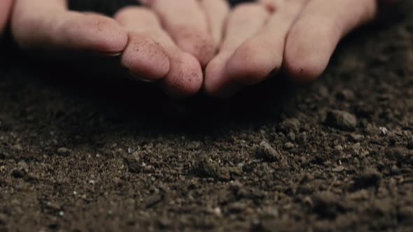 Farmer's Hand Holds Small Black Basil Seeds Near the Ground Ready for Sowing