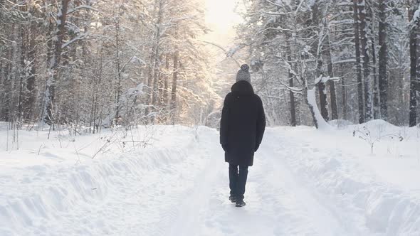 Man in winter clothes walks through winter forest. Beautiful nature in Park