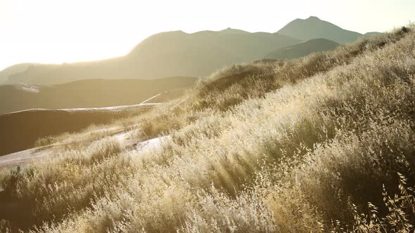 Sunset Over the Valley Fields