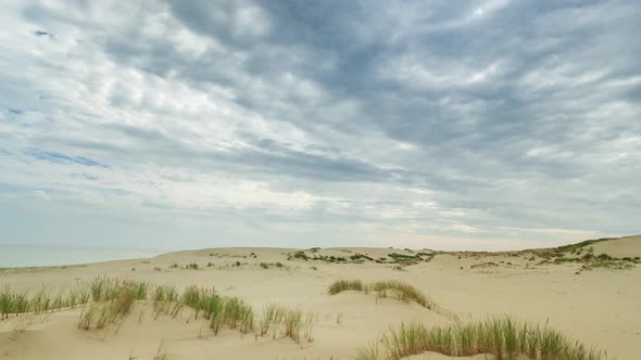 The dunes of the Curonian Spit