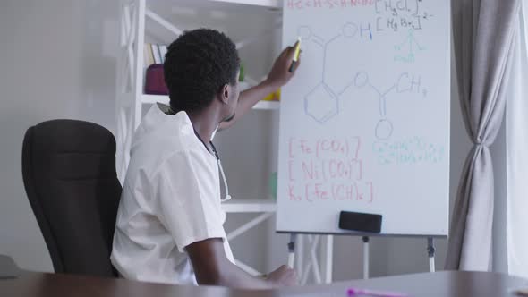 Professional Young Scientist Pointing at Flipchart with Chemical Formulas Talking in Video Chat