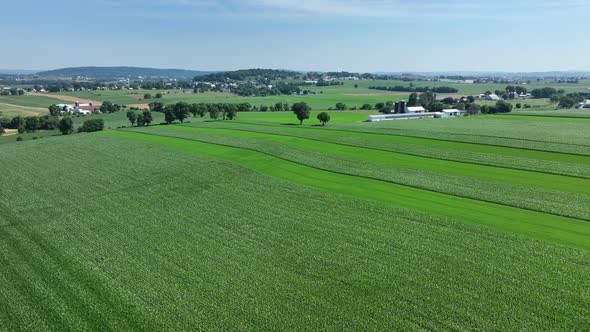 An aerial view of the lush green farmlands in the rural countryside of Lancaster County, Pennsylvani