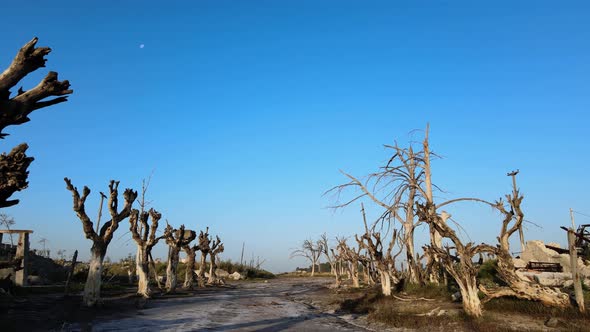 Old street runs through Epecuen Town Buenos Aires