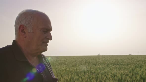 Steadycam shot of an old farmer walking in a green wheat field