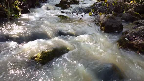 Flight of an Unmanned Camera Near a Mountain River Among Trees, Forests, Aircraft