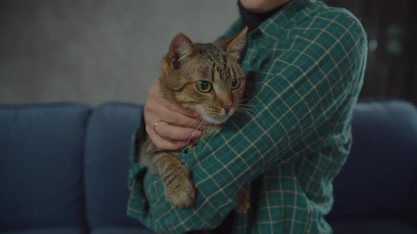 Portrait of Purring Cat in Caring Owner Arms