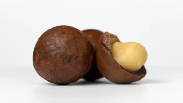 Macadamia nuts rotating on white background