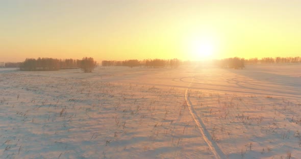 Aerial Drone View of Cold Winter Landscape with Arctic Field, Trees Covered with Frost Snow and