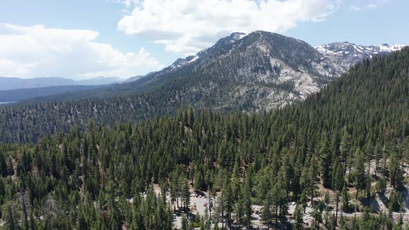 Reverse pullback aerial wide shot of the think forest above Emerald Bay at Lake Tahoe in the summer.