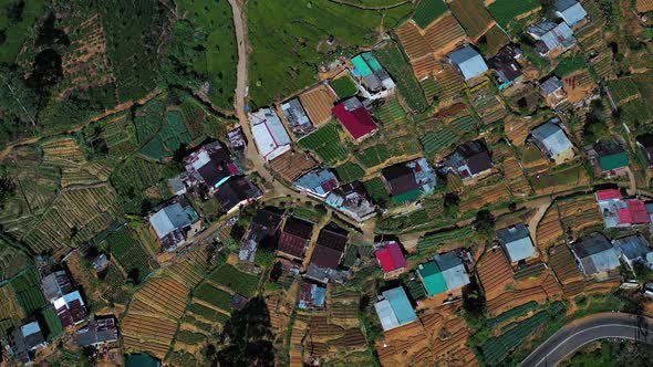 Aerial view of houses in countryside near Nuwara Eliya, Sri Lanka