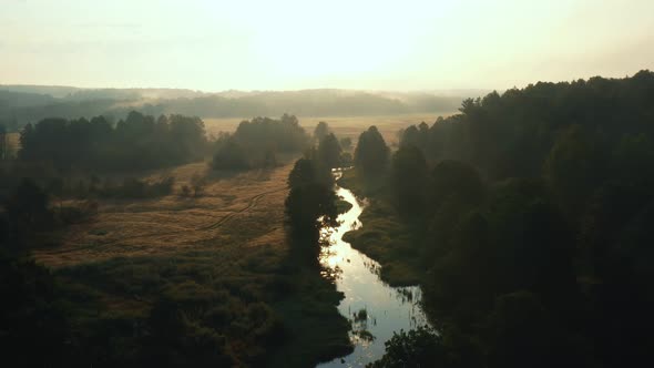 Drone Flying Over Beautiful Forest Valley Covered with Golden Sunrise Mist Sunlight Reflecting in