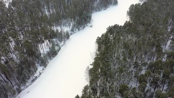 Winter Snowy Forest, Aerial View