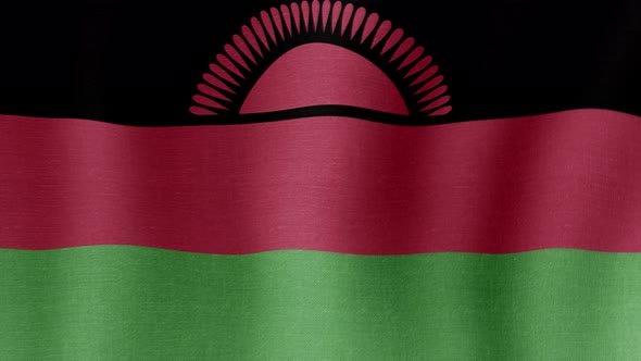 The National Flag of Malawi alt