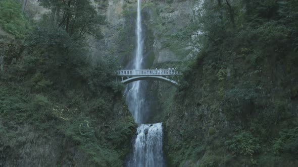 Tilt down view of Multnomah Falls