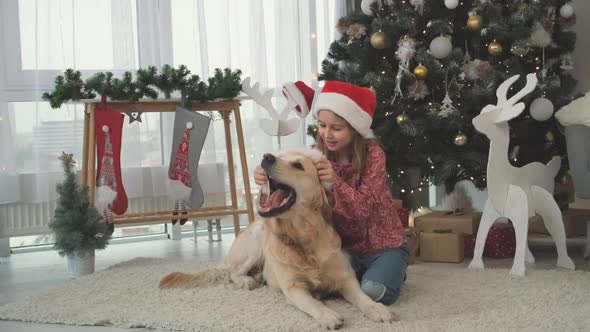 Dog with Little Girl Under Christmas Tree