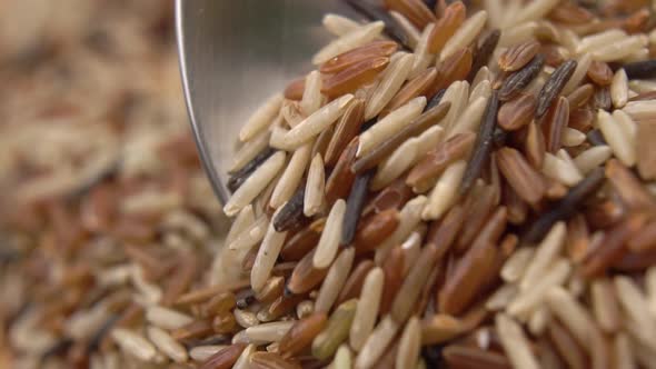 A spoon moves in a pile of raw rice mix in slow motion