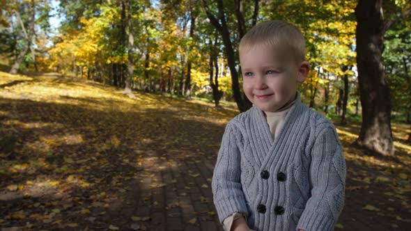 Portrait of Adorable Little Boy Among Autumn Park