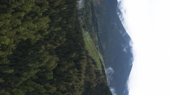 Vertical Video Carpathian Mountains