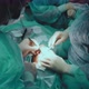 Team of Surgeons Perform Blepharoplasty Surgery - VideoHive Item for Sale