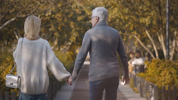 Back View of Romantic Senior Couple Walking in Park in Autumn