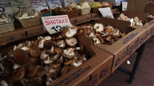 Pan of fresh mushrooms for sale at an open market in San Francisco