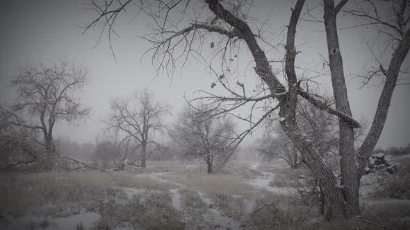 Melancholy Winter Landscape