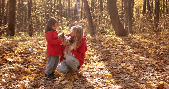 Mother and Daughter Playing with Dogs in the Forest