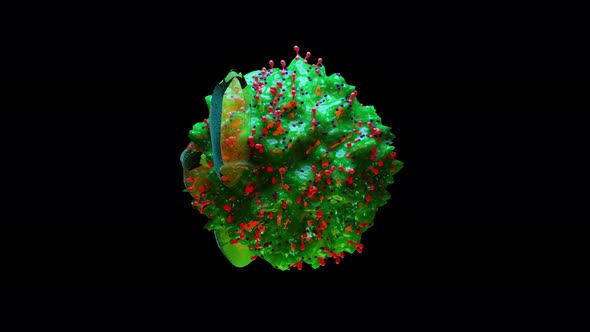 Mastocyte, Mast cell, 3d render