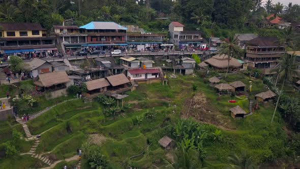 Aerial Drone View Above of Bali Landscapes with Terraces Rice Field